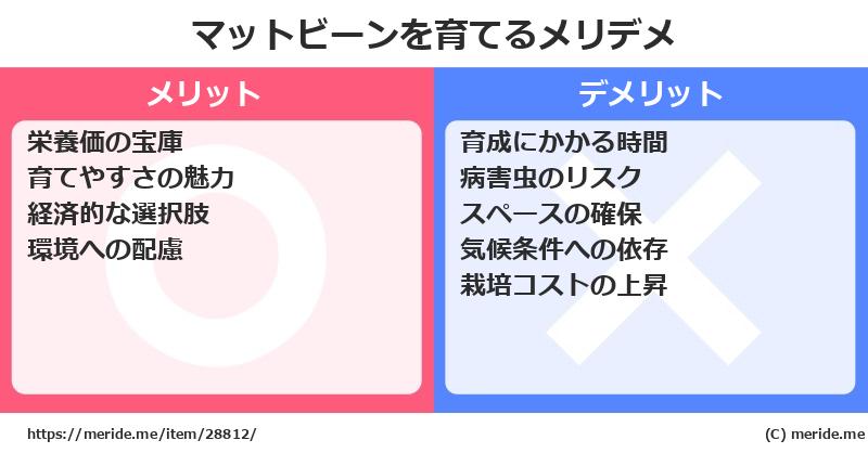 マットビーンを育てるメリットとデメリットは？ [栽培]  メリデメ