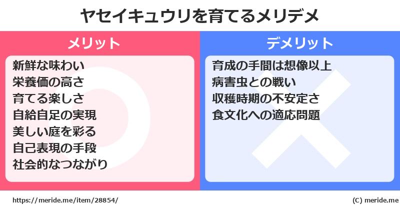 ヤセイキュウリを育てるメリットとデメリットは？ [栽培]  メリデメ