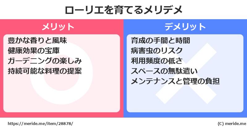 ローリエを育てるメリットとデメリットは？ [栽培]  メリデメ