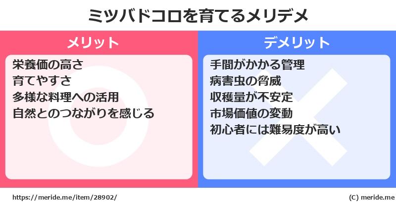 ミツバドコロを育てるメリットとデメリットは？ [栽培]  メリデメ