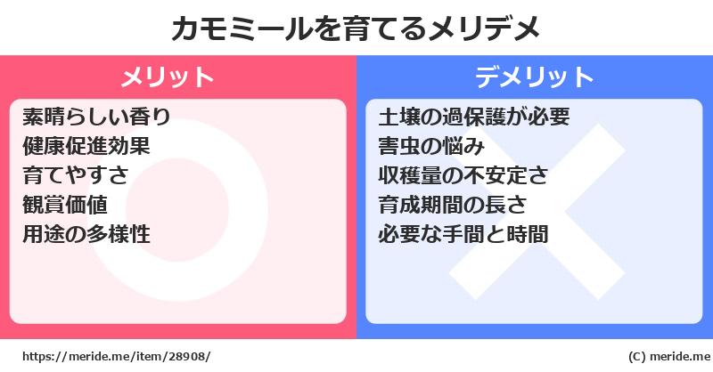 カモミールを育てるメリットとデメリットは？ [栽培]  メリデメ