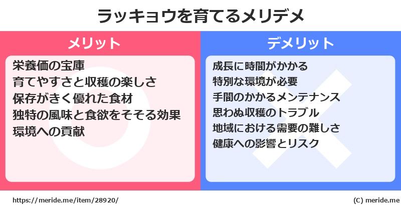 ラッキョウを育てるメリットとデメリットは？ [栽培]  メリデメ