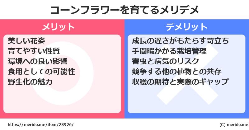 コーンフラワーを育てるメリットとデメリットは？ [栽培]  メリデメ