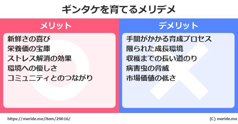 ギンタケを育てるメリットとデメリットは？ [栽培]  メリデメ