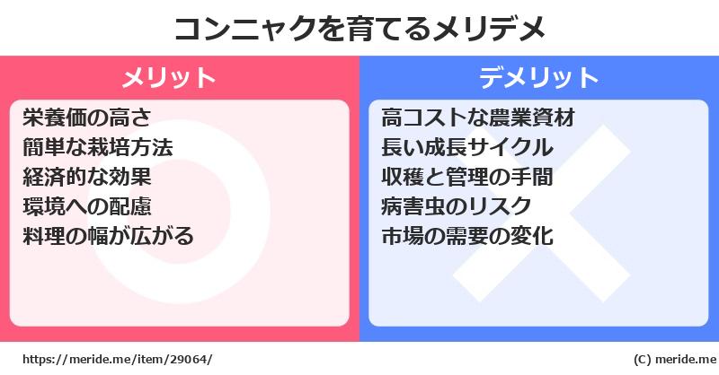 コンニャクを育てるメリットとデメリットは？ [栽培]  メリデメ