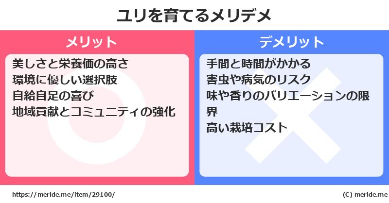 ユリを育てるメリットとデメリットは？ [栽培]  メリデメ