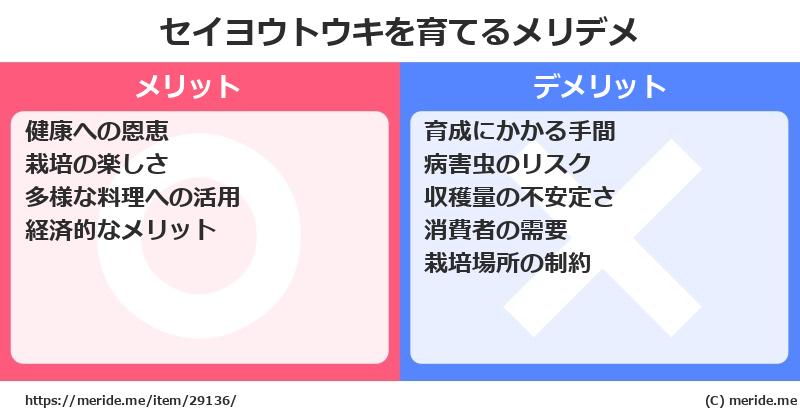 セイヨウトウキを育てるメリットとデメリットは？ [栽培]  メリデメ