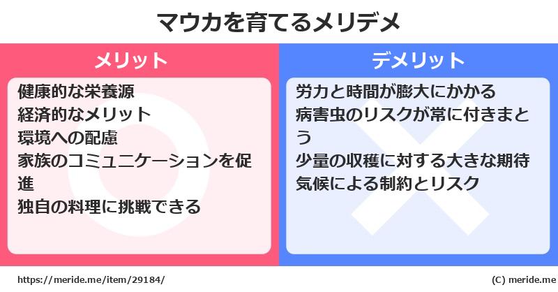 マウカを育てるメリットとデメリットは？ [栽培]  メリデメ