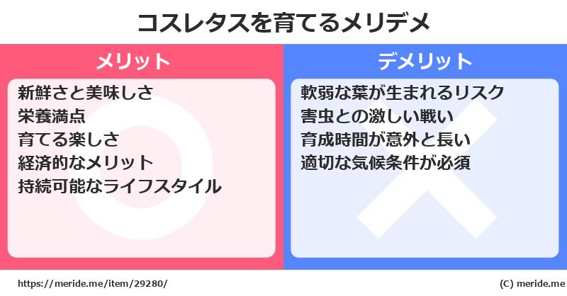 コスレタスを育てるメリットとデメリットは？ [栽培]  メリデメ