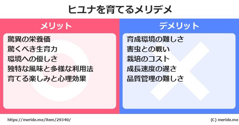 ヒユナを育てるメリットとデメリットは？ [栽培]  メリデメ