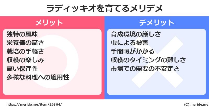 ラディッキオを育てるメリットとデメリットは？ [栽培]  メリデメ
