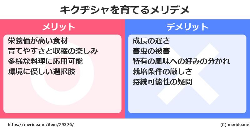 キクヂシャを育てるメリットとデメリットは？ [栽培]  メリデメ