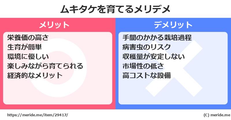 ムキタケを育てるメリットとデメリットは？ [栽培]  メリデメ