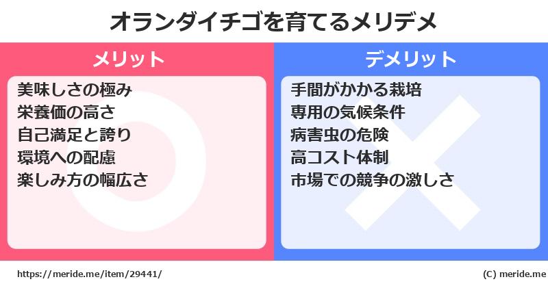 オランダイチゴを育てるメリットとデメリットは？ [栽培]  メリデメ