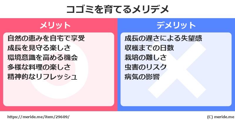 コゴミを育てるメリットとデメリットは？ [栽培]  メリデメ