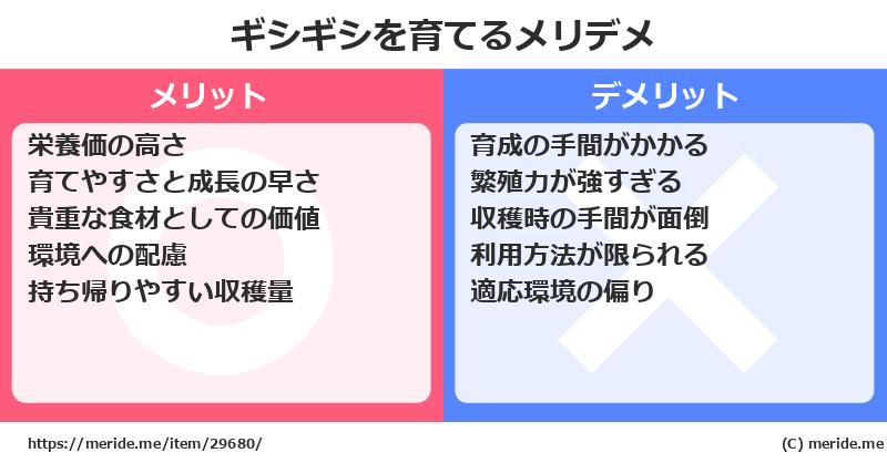 ギシギシを育てるメリットとデメリットは？ [栽培]  メリデメ