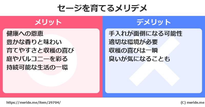 セージを育てるメリットとデメリットは？ [栽培]  メリデメ