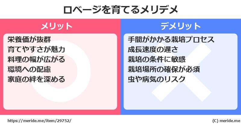 ロベージを育てるメリットとデメリットは？ [栽培]  メリデメ