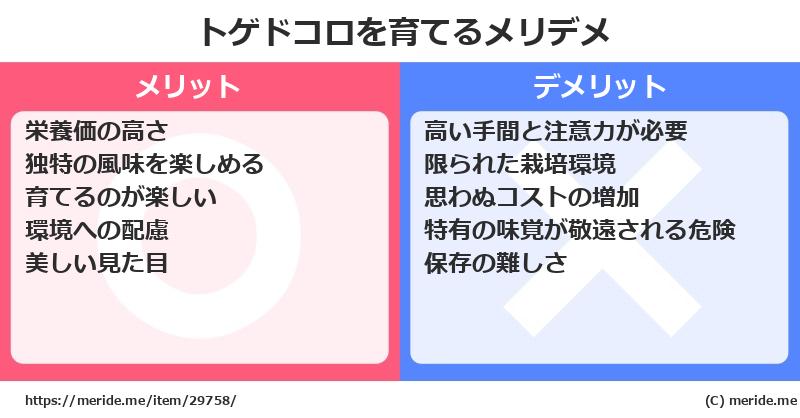 トゲドコロを育てるメリットとデメリットは？ [栽培]  メリデメ