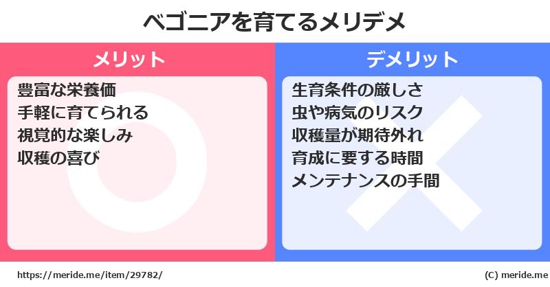 ベゴニアを育てるメリットとデメリットは？ [栽培]  メリデメ