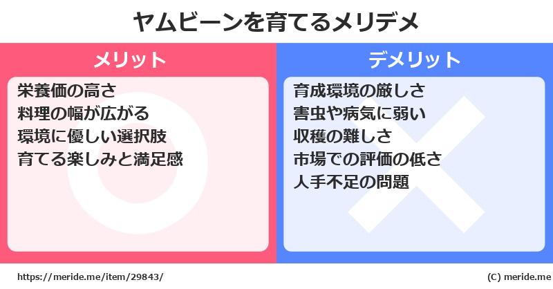 ヤムビーンを育てるメリットとデメリットは？ [栽培]  メリデメ