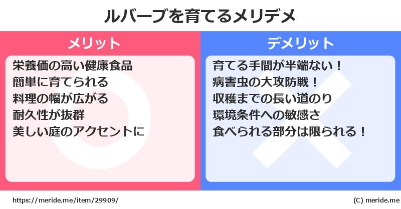 ルバーブを育てるメリットとデメリットは？ [栽培]  メリデメ