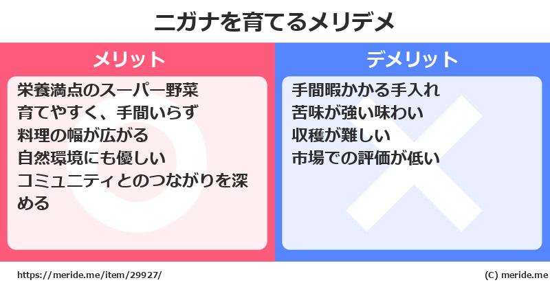 ニガナを育てるメリットとデメリットは？ [栽培]  メリデメ