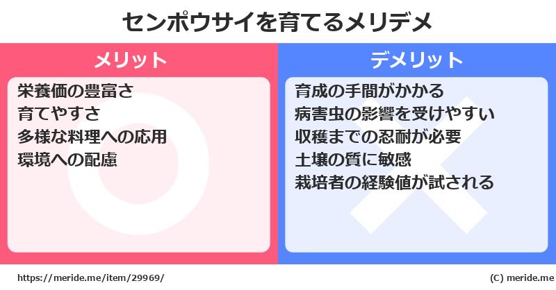 センポウサイを育てるメリットとデメリットは？ [栽培]  メリデメ