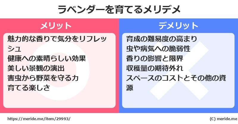 ラベンダーを育てるメリットとデメリットは？ [栽培]  メリデメ