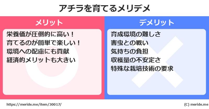 アチラを育てるメリットとデメリットは？ [栽培]  メリデメ