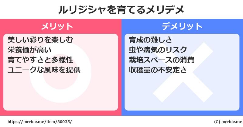 ルリジシャを育てるメリットとデメリットは？ [栽培]  メリデメ