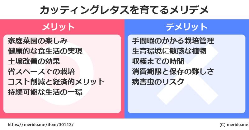 カッティングレタスを育てるメリットとデメリットは？ [栽培]  メリデメ