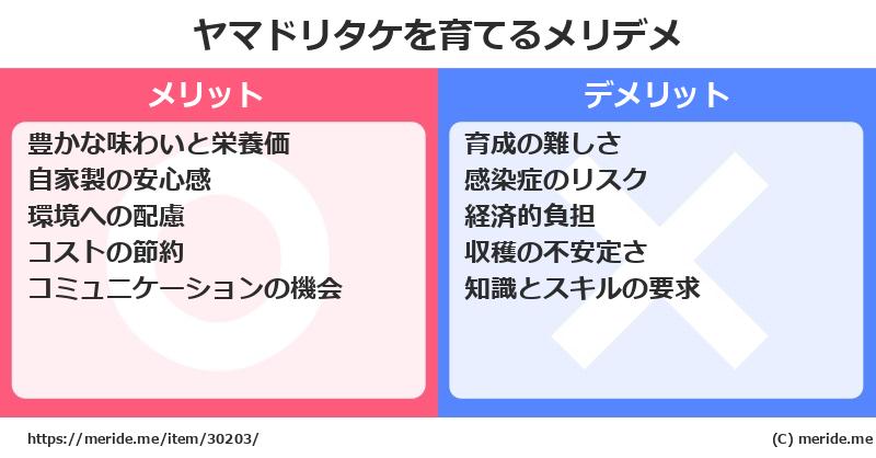 ヤマドリタケを育てるメリットとデメリットは？ [栽培]  メリデメ