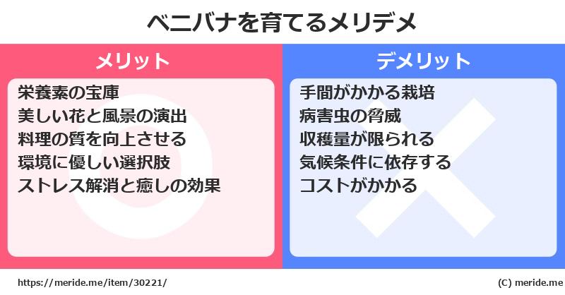 ベニバナを育てるメリットとデメリットは？ [栽培]  メリデメ