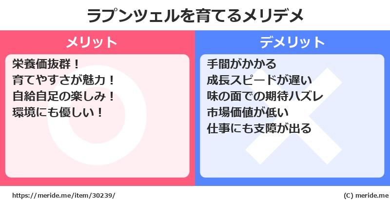 ラプンツェルを育てるメリットとデメリットは？ [栽培]  メリデメ