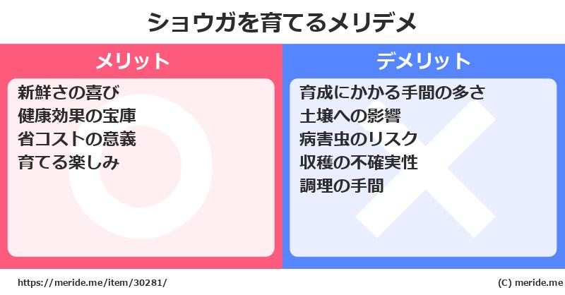 ショウガを育てるメリットとデメリットは？ [栽培]  メリデメ