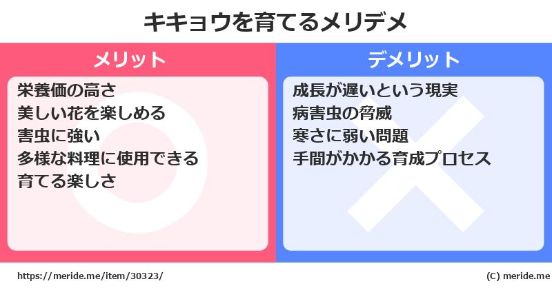 キキョウを育てるメリットとデメリットは？ [栽培]  メリデメ