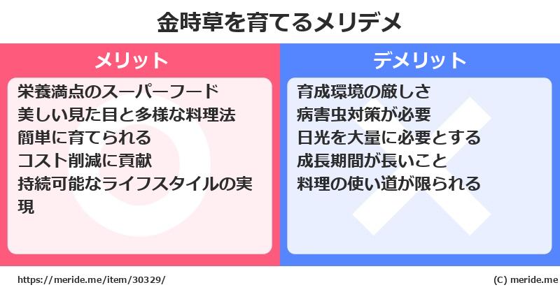 金時草を育てるメリットとデメリットは？ [栽培]  メリデメ