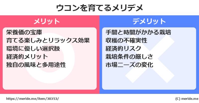 ウコンを育てるメリットとデメリットは？ [栽培]  メリデメ