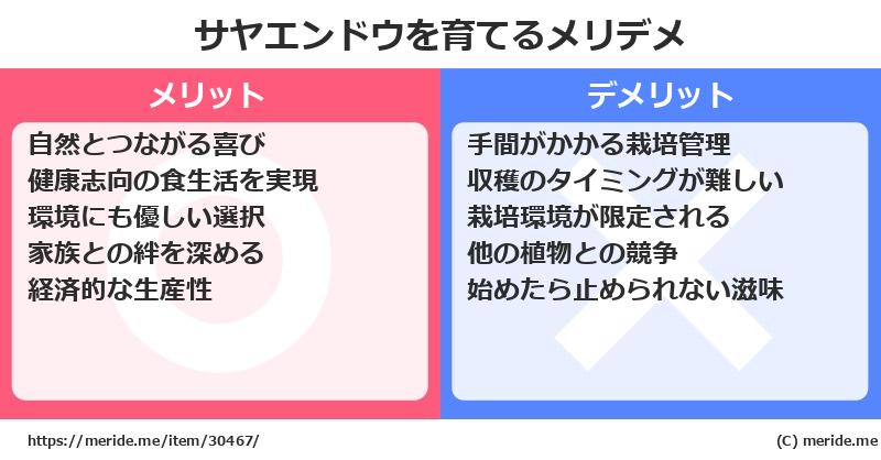 サヤエンドウを育てるメリットとデメリットは？ [栽培]  メリデメ
