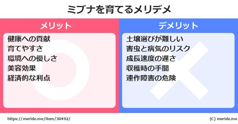 ミブナを育てるメリットとデメリットは？ [栽培]  メリデメ