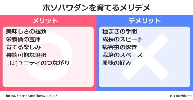 ホソバワダンを育てるメリットとデメリットは？ [栽培]  メリデメ
