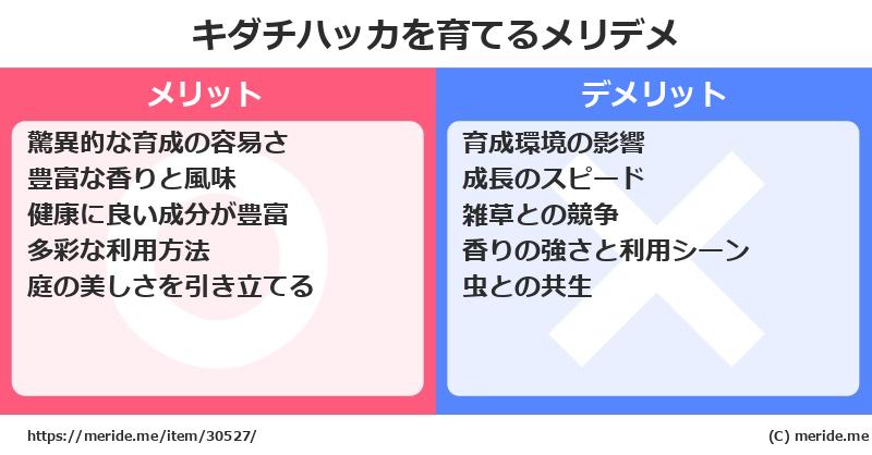 キダチハッカを育てるメリットとデメリットは？ [栽培]  メリデメ