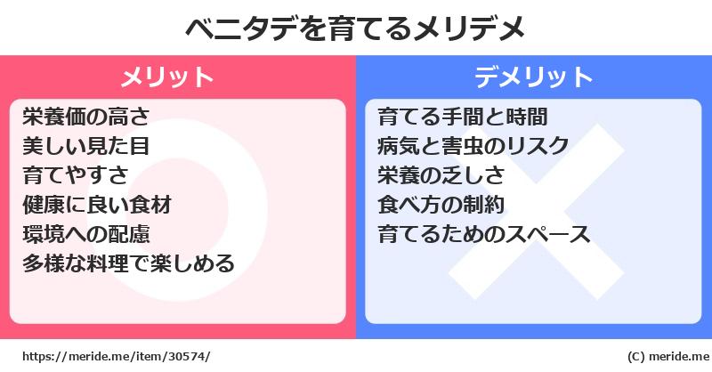ベニタデを育てるメリットとデメリットは？ [栽培]  メリデメ