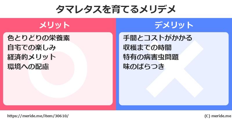 タマレタスを育てるメリットとデメリットは？ [栽培]  メリデメ
