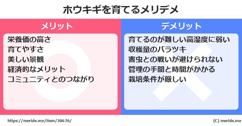 ホウキギを育てるメリットとデメリットは？ [栽培]  メリデメ