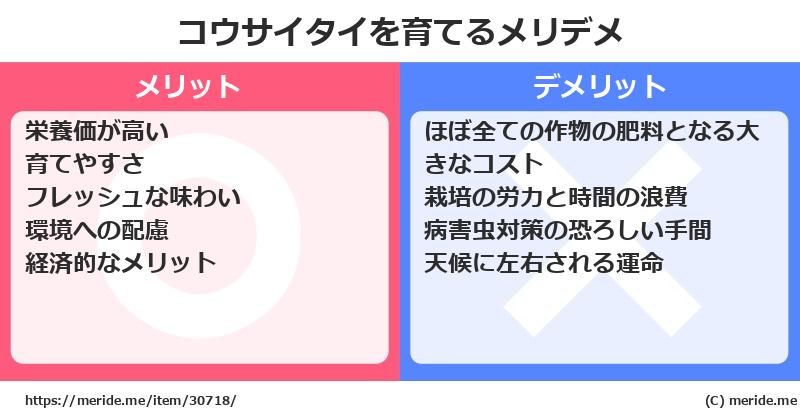 コウサイタイを育てるメリットとデメリットは？ [栽培]  メリデメ