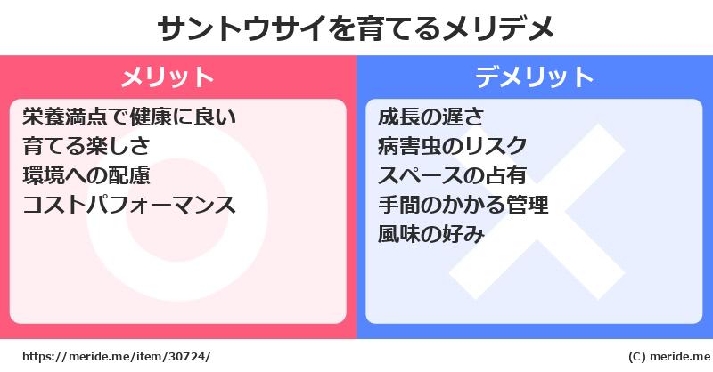 サントウサイを育てるメリットとデメリットは？ [栽培]  メリデメ