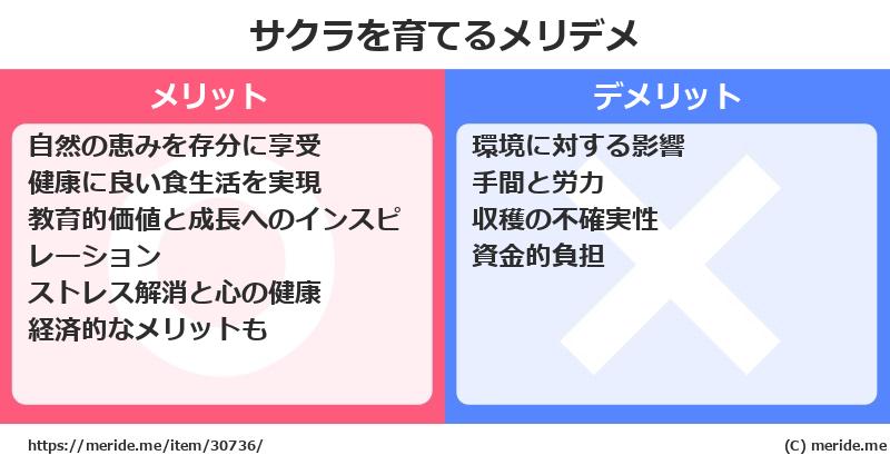 サクラを育てるメリットとデメリットは？ [栽培]  メリデメ