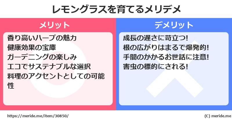 レモングラスを育てるメリットとデメリットは？ [栽培]  メリデメ